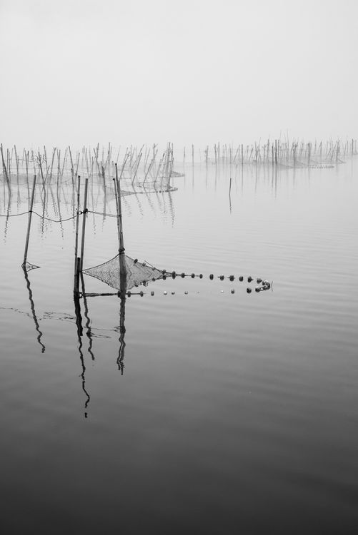 Albufera fish nets 
