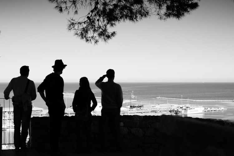 group of silhouettes looking at the horizon 
