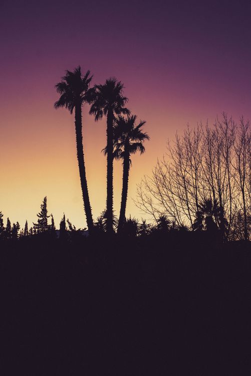 Sunset in south of France 