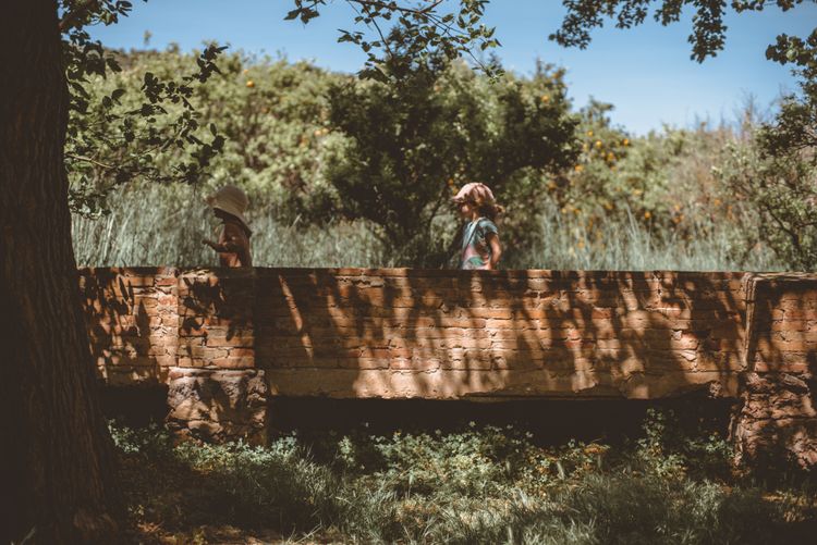 Playing around orange trees 