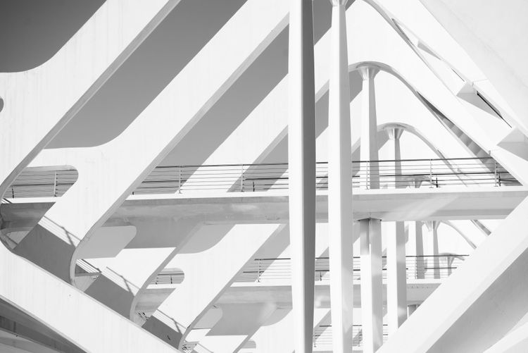 Skeleton museum of Sciences